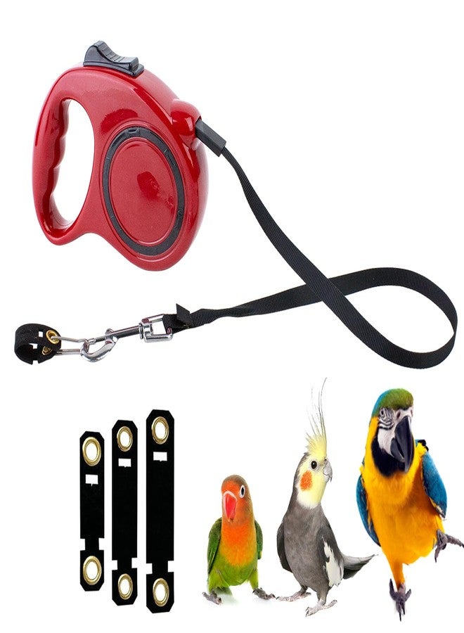 OOXYG Retractable Bird Leash, 9.8ft Anti-Bite Bird Harness, Adjustable Parrot Harness with 3 Sizes Foot Rings, Outdoor Flying Harness for Macaws, Cockatiels, Macaws, Conures, Parrot, Parakeet - Image 2